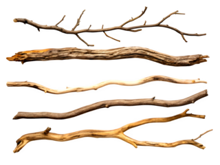 Isolated natural dry tree branches wood sticks for art and craft design
