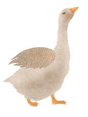 Watercolor cartoon toy goose. Hand-drawn cute goose on a white background. Bird in cartoon style.