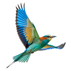 Fototapeta premium A bird flying in the sky isolated on a transparent background