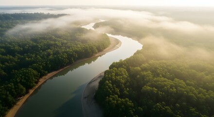 Aerial view of a misty, winding tropical river and forest. Environmental preservation and natural ecosystem beauty. Drone shot of a curving waterway through dense green jungle