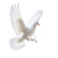 White dove olive branch ornament transparent background symbolic Christmas holiday decor