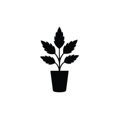 Herb plant in tall pot minimal vector silhouette black design isolated on white