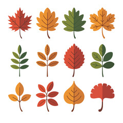 Obraz premium Diverse Autumn Leaf Shapes Collection