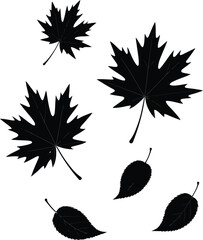 Black silhouette of a falling autumn leaf