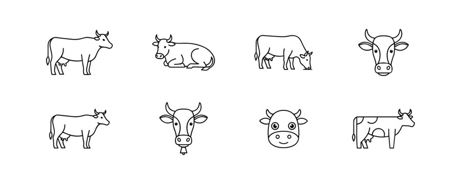 Cow line drawings set in black and white