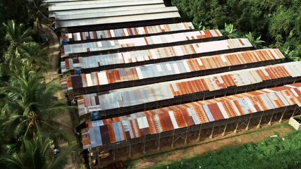 Aerial View Of Rustic Corrugated Metal Roof Structures Lined Up In Tropical Lush Greenery - Powered by Adobe