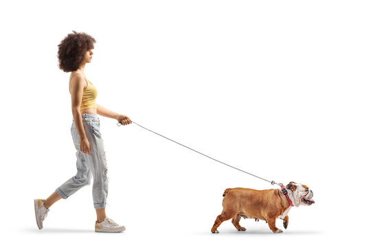 Full length profile shot of a young caucasian woman with afro hairstyle walking a bulldog