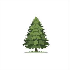 Obraz premium BALSAM tree vector , the balsam tree vector is very good and essential to the people.