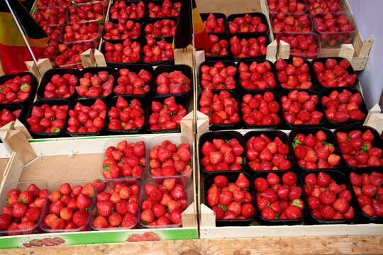 Fresh strawberries packed in black trays at a market display. Blankenberge, West Flanders, Belgium