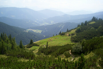 Rolling green hills and valleys stretch into the misty distant mountains under a cloudy sky. Salzkammergut, Salt Domain, Dachstein Mountains, Austria