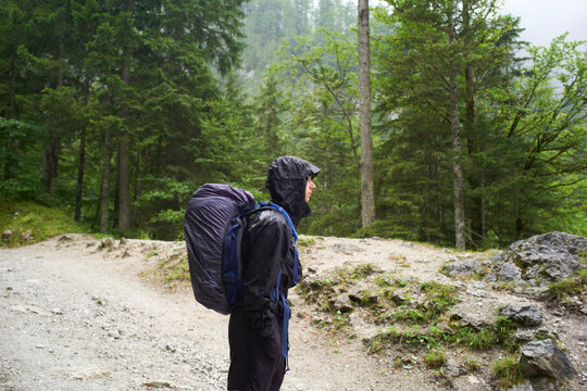 Hiker in rain gear with a large backpack stands on a wooded trail in a dense forest. Salzkammergut, Salt Domain, Dachstein Mountains, Austria
