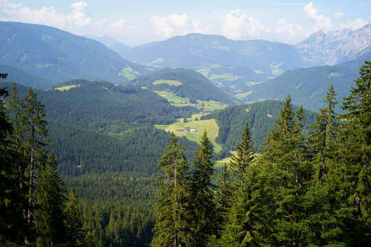 A vast mountainous landscape with dense forests and a distant valley under a clear blue sky. Salzkammergut, Dachstein Mountains, Austria