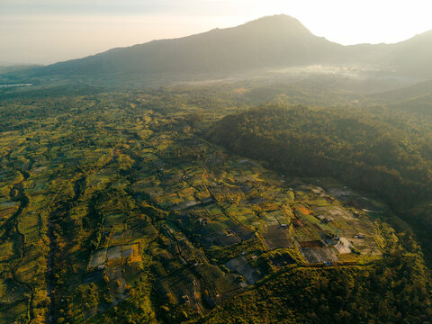 Aerial view of lush green landscape with farmland and mountain at sunrise. Lombok, Senaru, Indonesia