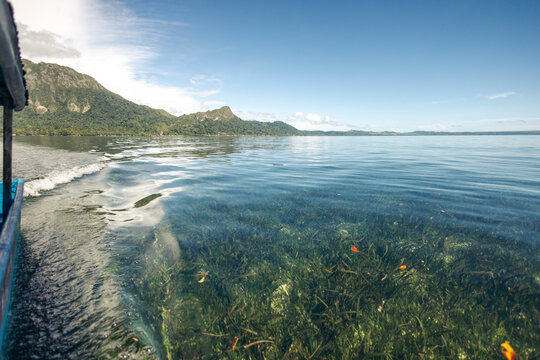 Clear water with submerged plants, mountains, and a blue sky in a scenic landscape. Saleman Village, Seram Island, Maluku, Indonesia