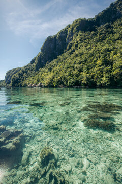 Crystal-clear water with coral reef beneath lush green mountains and a blue sky. Saleman Village, Seram Island, Maluku, Indonesia
