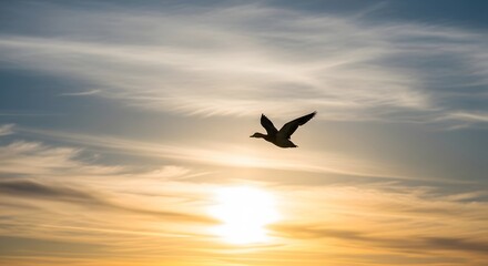 Naklejka premium Silhouette of a bird flying across a vibrant sunset sky with bright sun and clouds.