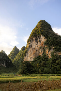 Majestic limestone karst mountains rise above lush green fields under a blue sky. Phong Nam, Tr˘ng Kh&middot;nh District, Cao Bang, Vietnam