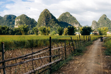 A dirt path winds through a rural landscape with lush fields and towering green mountains. Ngoc Con, Tr˘ng Kh·nh District, Cao Bang, Vietnam