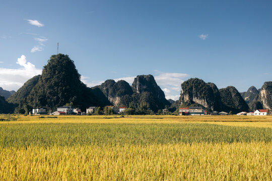 Lush rice fields with towering, rugged mountains under a clear blue sky Ngoc Con, Tr˘ng Kh&middot;nh District, Cao Bang, Vietnam