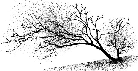 Obraz premium Black and white tree branch with halftone vintage effect for artistic design