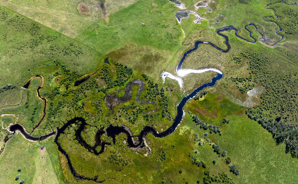 Aerial view of a winding river through lush green fields and patches of vegetation. West of Calgary, Canada