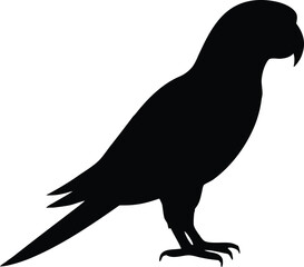 Tropical parrot bird silhouette graphic