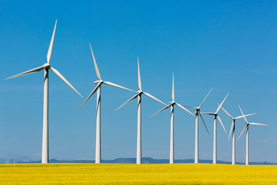Wind turbines in a row over a yellow field with a clear blue sky. North of Glenwood, Canada