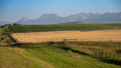 Expansive rural landscape with fields, distant mountains, and a rustic fence under clear skies. Waterton Lakes National Park, Alberta, Canada