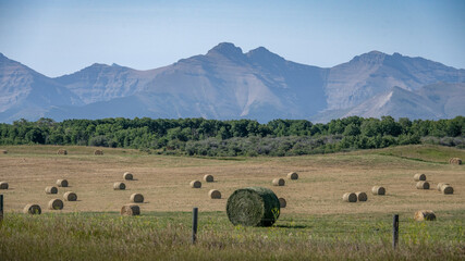 Rolling hay fields with scattered bales against a backdrop of majestic mountain range. Waterton Park, Alberta, Canada
