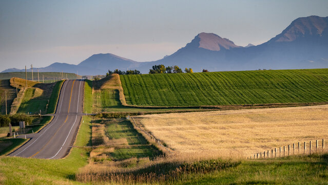 Scenic rural road flanked by green fields and mountains in the distance under a clear sky. Waterton Lakes National Park, Alberta, Canada