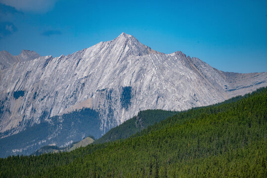 Majestic mountain range with dense forest under a clear blue sky. Waterton Lakes National Park, Alberta, Canada - Powered by Adobe