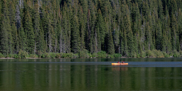 A serene lake with a lone canoe and vast forest backdrop under a clear sky. Waterton Park, Alberta, Canada