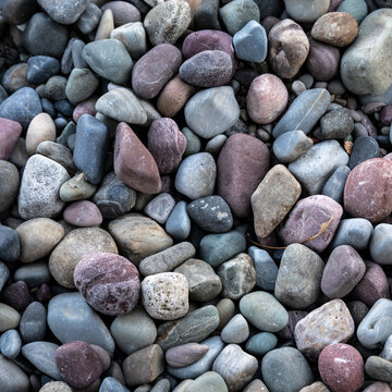 Smooth multicolored pebbles in shades of grey, brown, and blue arranged closely. Waterton Park, Alberta, Canada