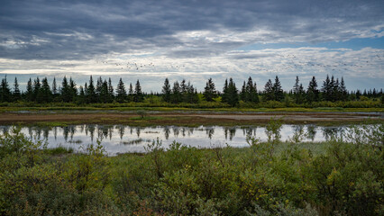 A serene landscape with a reflective lake, lush greenery, and a cloudy sky framed by trees. Hudson Bay, Churchill, Manitoba, Canada