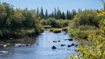 Serene river flowing through lush green trees under a clear blue sky.  Hudson Bay, Churchill, Manitoba, Canada