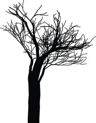 Silhouette of a bare tree with intricate branches against a white background