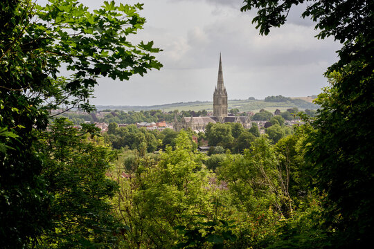 Salisbury Cathedral spire rises above a lush green landscape framed by dense trees. Salisbury, UK