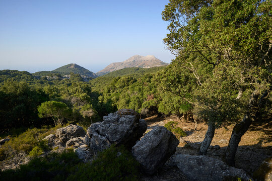 Rugged landscape with trees, rocks, and distant mountains under a clear blue sky. Ranthi Forest, Ikaria island, Greece.