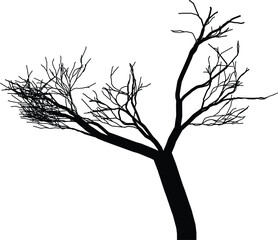Silhouette of a bare, leafless tree with intricate branches against a white background