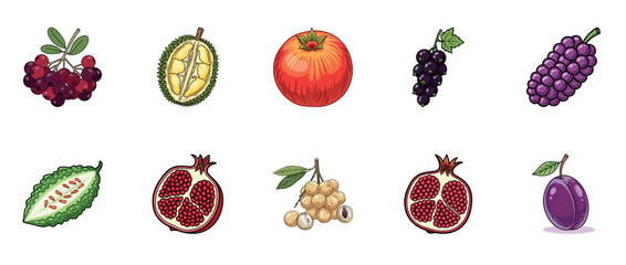 Fototapeta premium Collection of varied fruits: durian, pomegranate, grapes, bitter melon, longan, plum, cranberries