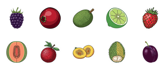 Fototapeta premium Variety of colorful fruits including blackberry, cranberry, durian, lime, strawberry