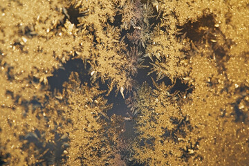 Winter snowflake pattern on window during sunset light