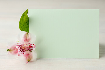 Blank card and flower on white wooden table, closeup. Mockup for design