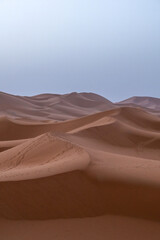 A calm desert landscape near Erg Chebbi in Morocco, showing soft sand dunes and a traditional desert
