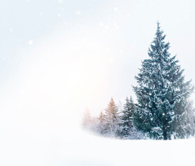 Space for text. Snowy forest. Winter landscape. Trees in fluffy white snow