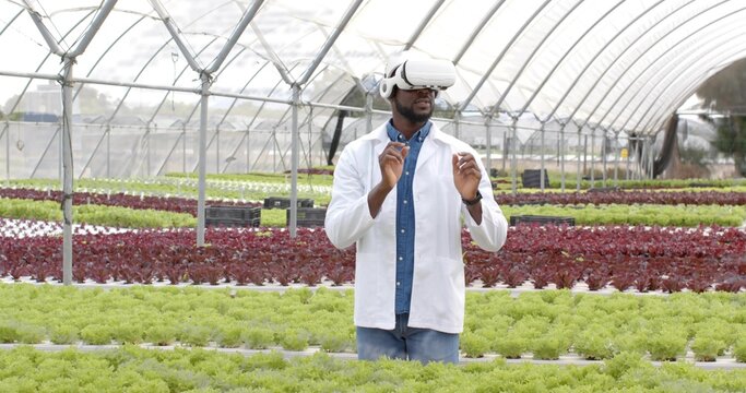 Researcher wearing lab coat and VR headset inspecting hydroponic lettuce in greenhouse - Powered by Adobe