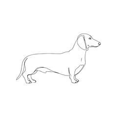 Simple black line art dog illustration