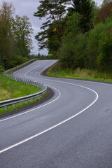 A winding forest road with traffic markings stretching into the horizon