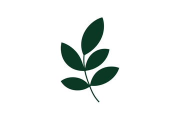 Fototapeta premium A simple dark green leaf stem with multiple leaves against a white background.