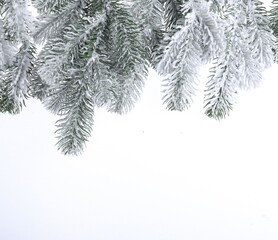 Branch of artificial fir tree with snow on white background, space for text. Christmas decor